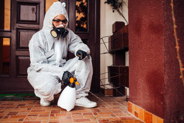 Reliable Cockroach Control contractor in Reserve, LA by Nex Pest Control